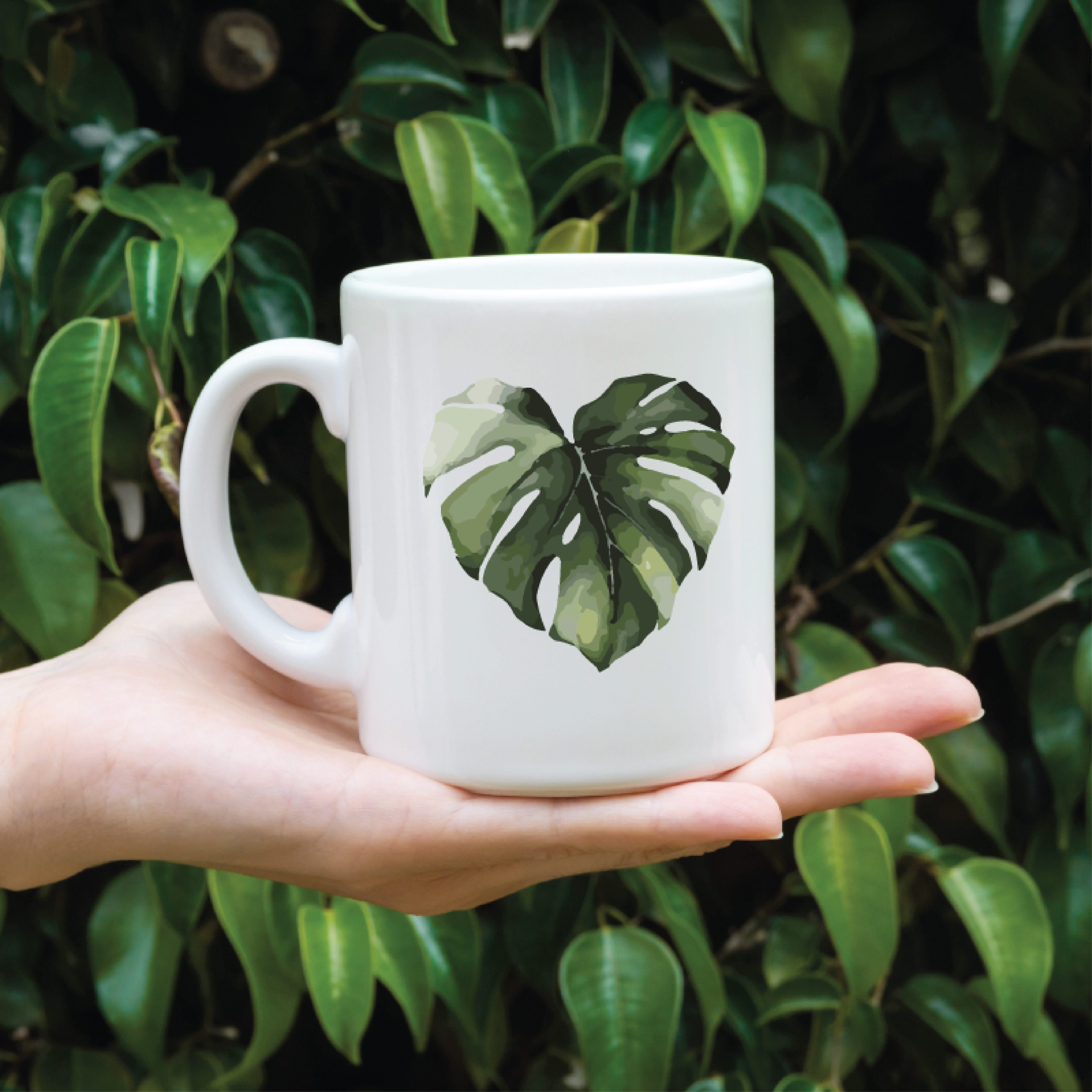 Monstera - Plantekopp