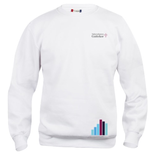 NG Collegegenser - junior
