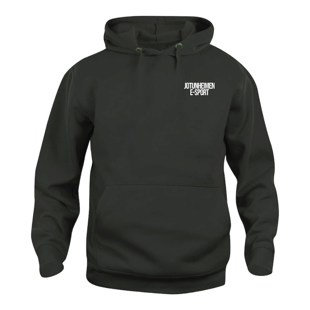 Jotunheimen Hoodie