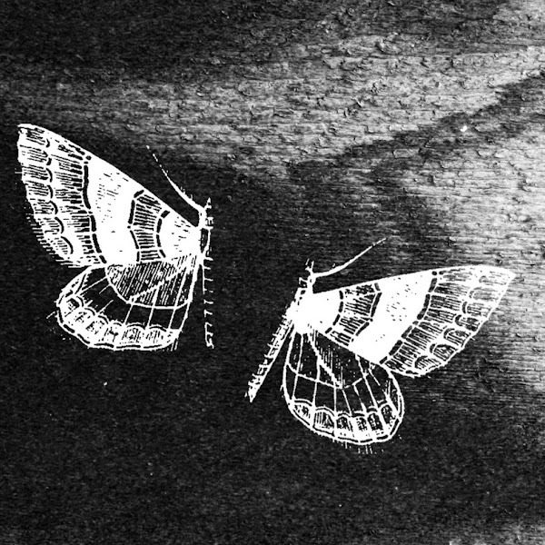 Synnecrosis