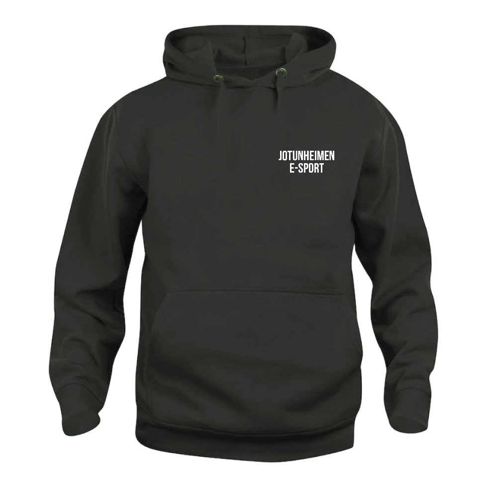 Jotunheimen Hoodie Jentelogo
