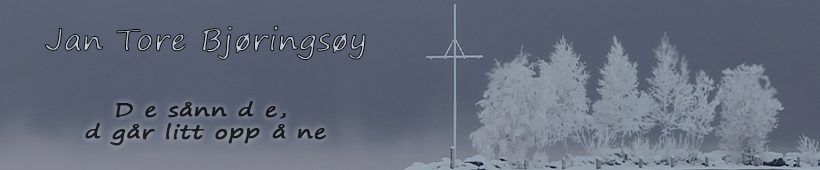 Jan Tore Bjøringsøy Jan Tore Bjøringsøy