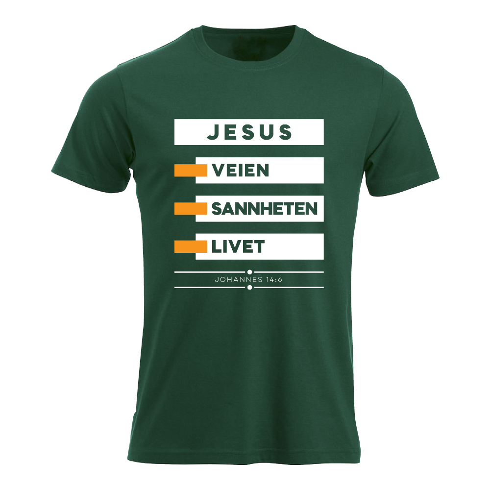 Jesus, VEIEN