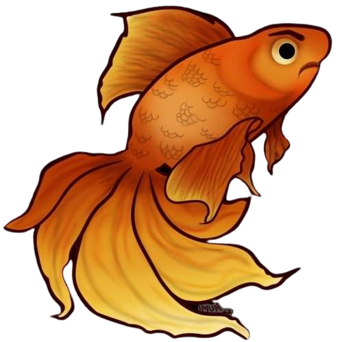 GrumpyGoldfish13