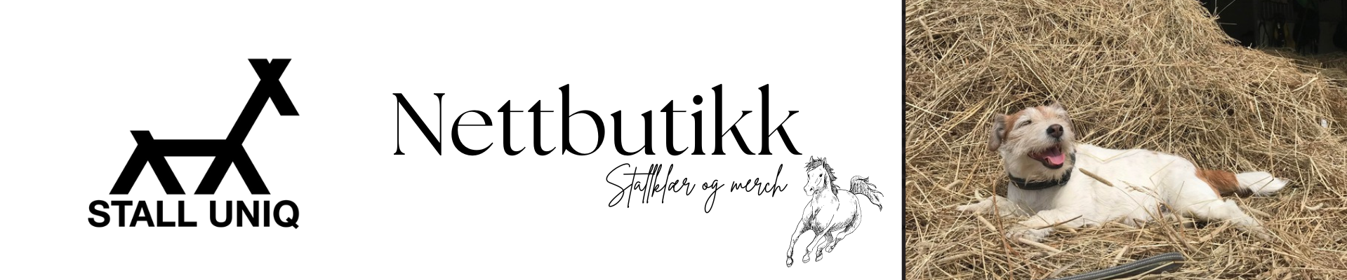 stalluniq
