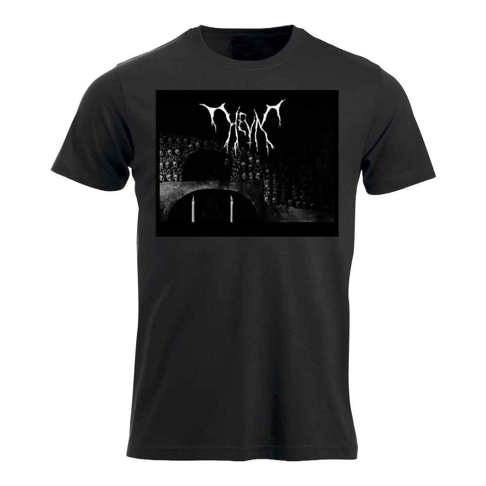 Hevn tshirt picture + logo