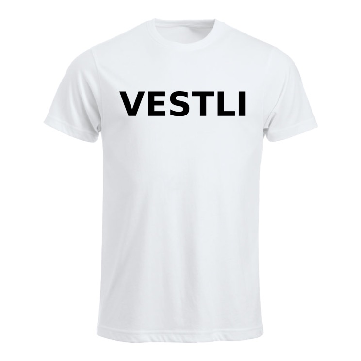 VESTLI H B