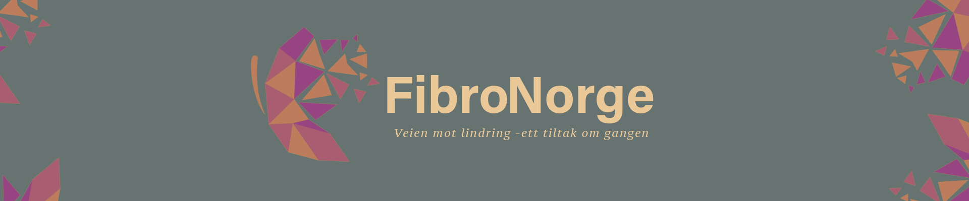 FibroNorge
