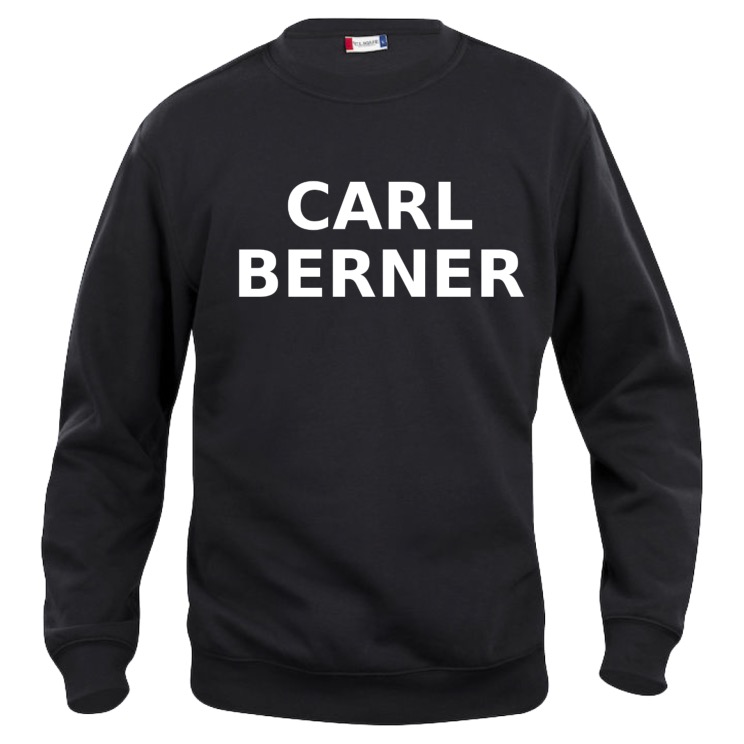 CARL BERNER COLLEGE H