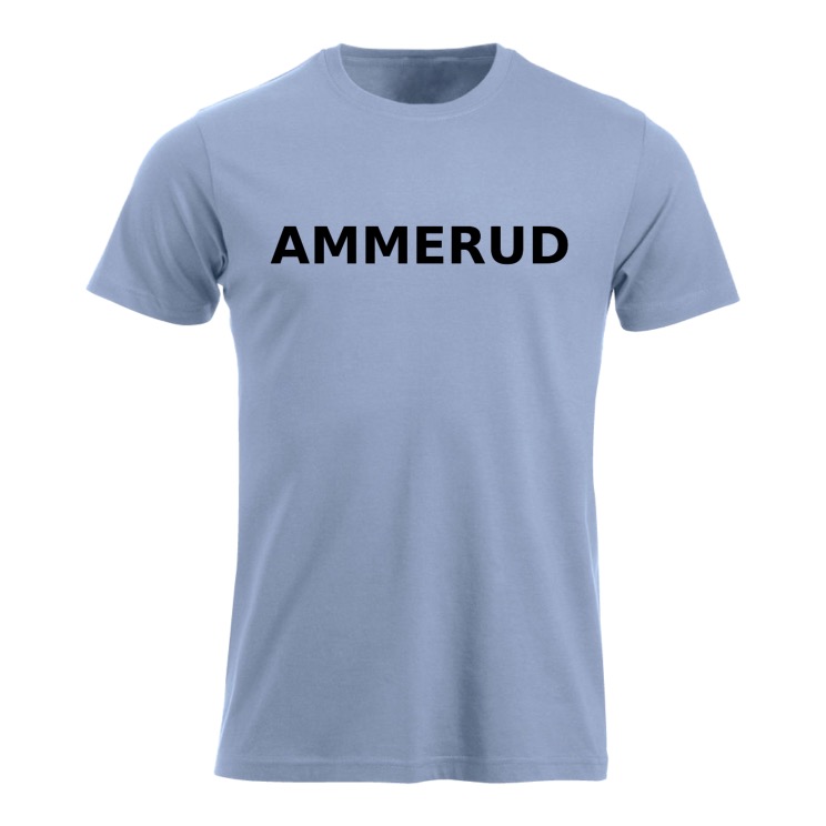 AMMERUD H B