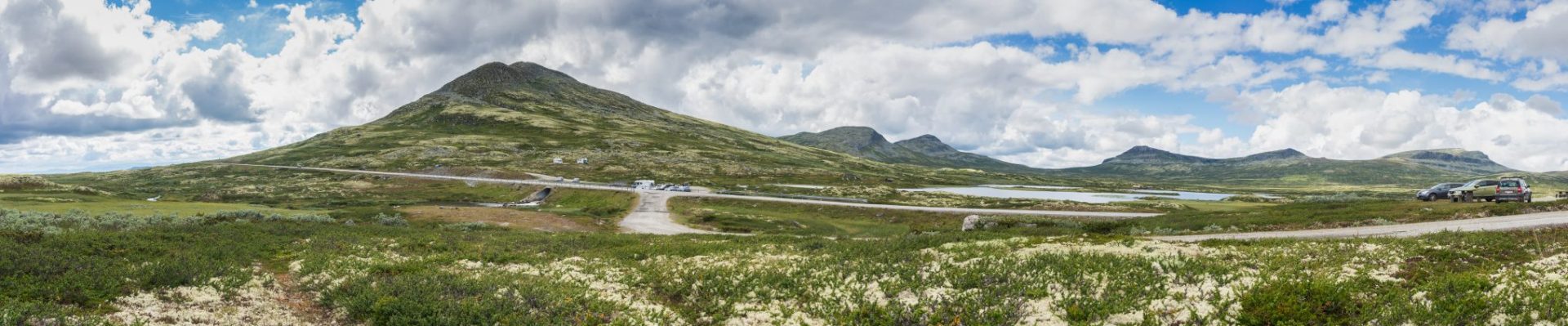 Nord-Hålogaland Elghund klubb - shopp