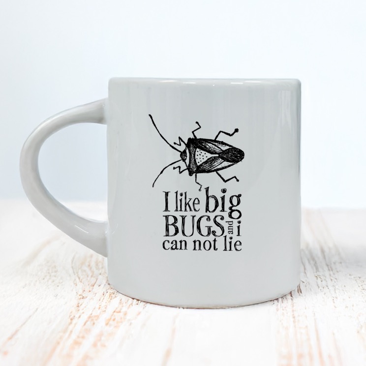 Big bugs krus