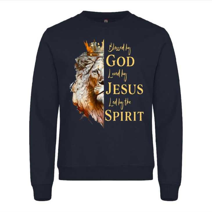 E 13 Spirit Genser