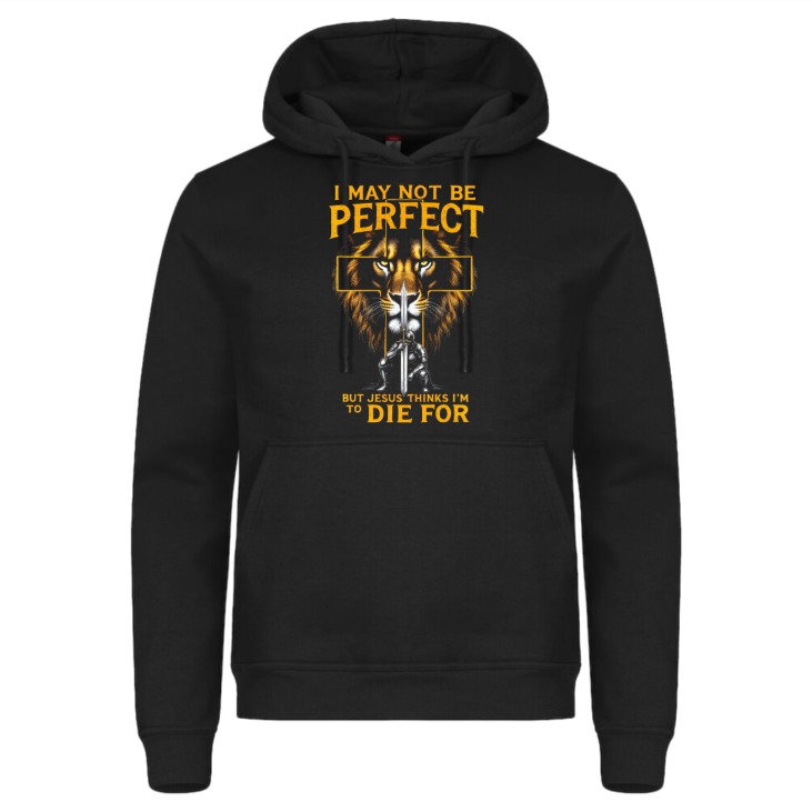 A30 Perfect Jesus Hettegenser