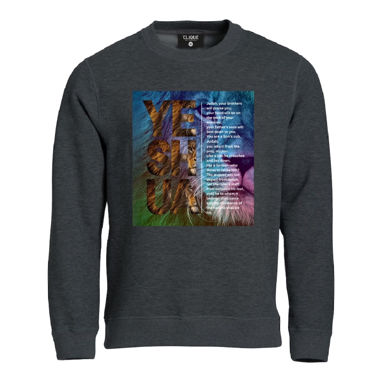 Lion of Judah sweatshirt