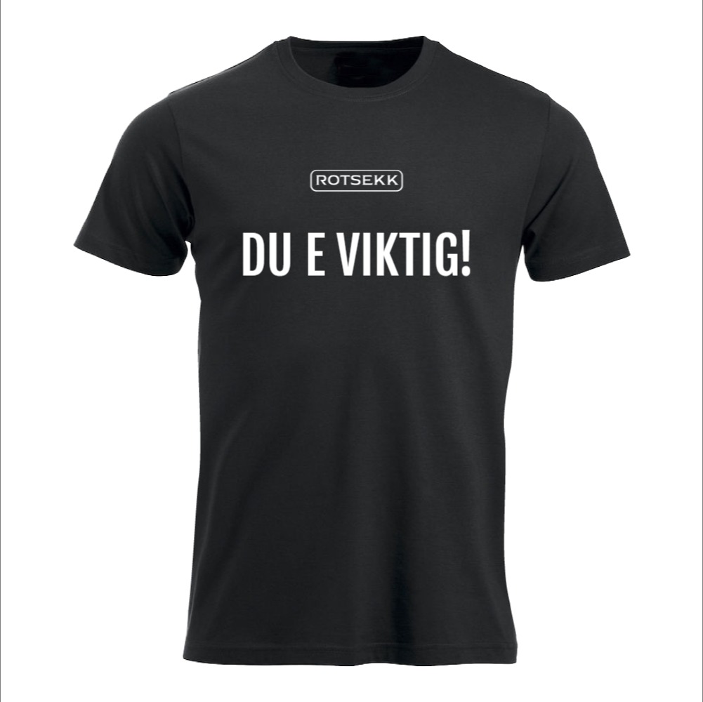 DU E VIKTIG