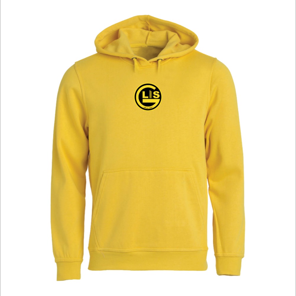 Glimt i sør hettegenser